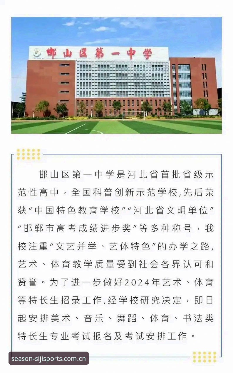 深度解析四季体育手机版：资深用户分享2024年实战使用心得